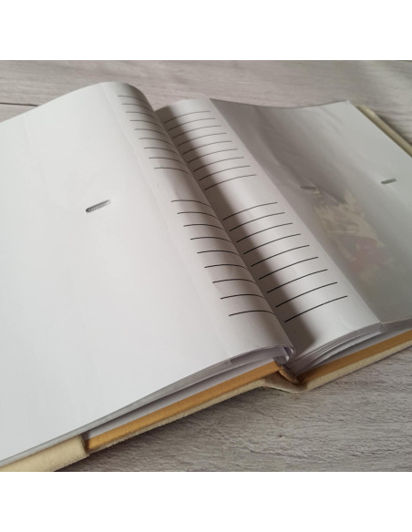 Album photo 160 photos